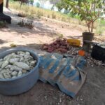 WhatsApp Image 2025-06-05 at 10.04.26 AM