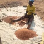 WhatsApp Image 2025-06-05 at 10.04.27 AM (1)