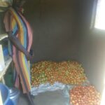 WhatsApp Image 2025-06-05 at 10.04.28 AM (1)