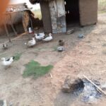 WhatsApp Image 2025-06-05 at 10.04.28 AM (2)