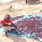 WhatsApp Image 2025-06-05 at 10.04.33 AM (2)