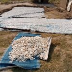 WhatsApp Image 2025-06-05 at 10.04.34 AM