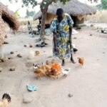 WhatsApp Image 2025-06-05 at 10.04.45 AM